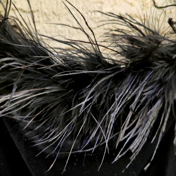 off the shoulder velvet feather top - Picture 6 of 6